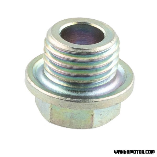 #22 Z50 cam chain tensioner bolt-2